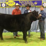 2017 NWSS Catch-A-Calf Final Results Released