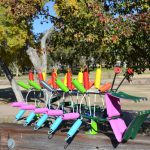 The Bugs Have Found a Home