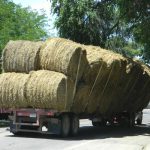 When Thursdays Feel Like Mondays