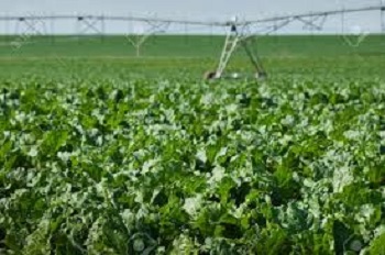 Colorado Crop Progress Report, Week Ending November 22nd