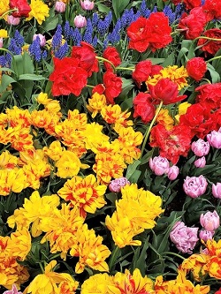 Margarito Segura Baca, Sr. – July 23, 1928 – March 18, 2022