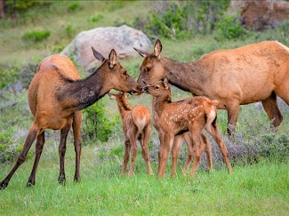 Colorado Parks and Wildlife offering $14 Centennial State Park Pass for low income Coloradans