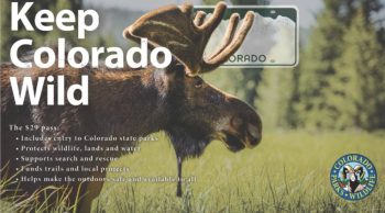 DMV and CPW receive award for innovative work in supporting Colorado state parks