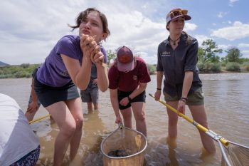 Palisade High School releases its thousandth endangered razorback into the Colorado River