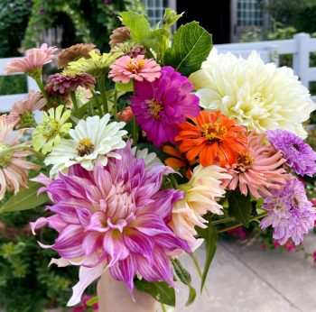 Mary Stevens Humphreys - July 4, 1929 - December 25, 2024