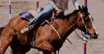 Holly Saddle Club gymkhana/fun days February 8 and February 22