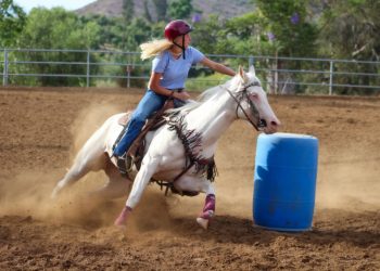 Holly Saddle Club hosting gymkhana on March 8